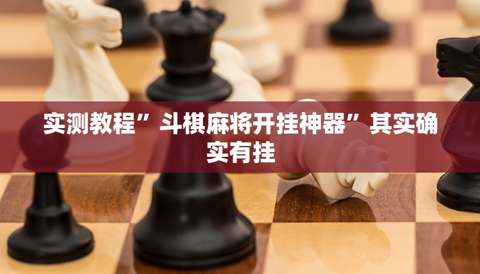 实测教程”斗棋麻将开挂神器”其实确实有挂