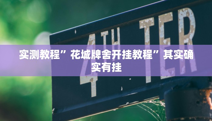 实测教程”花城牌舍开挂教程”其实确实有挂