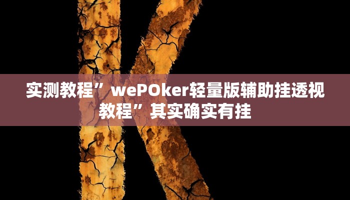 实测教程”wePOker轻量版辅助挂透视教程”其实确实有挂