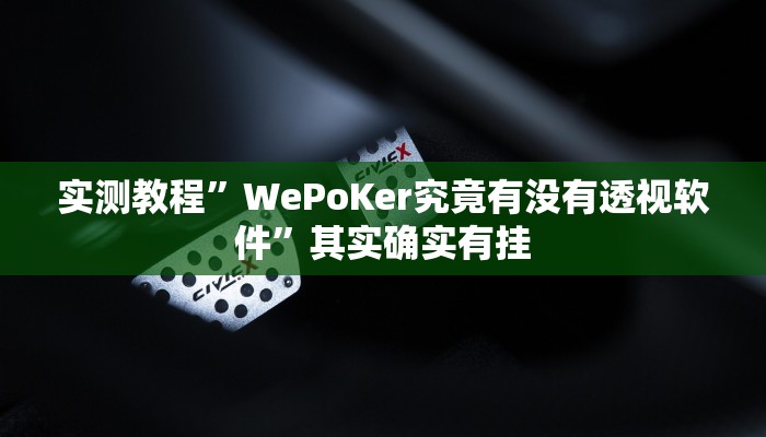 实测教程”WePoKer究竟有没有透视软件”其实确实有挂