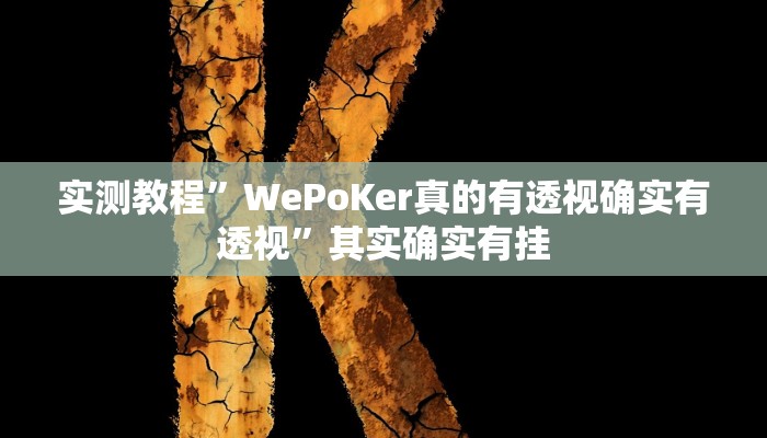 实测教程”WePoKer真的有透视确实有透视”其实确实有挂