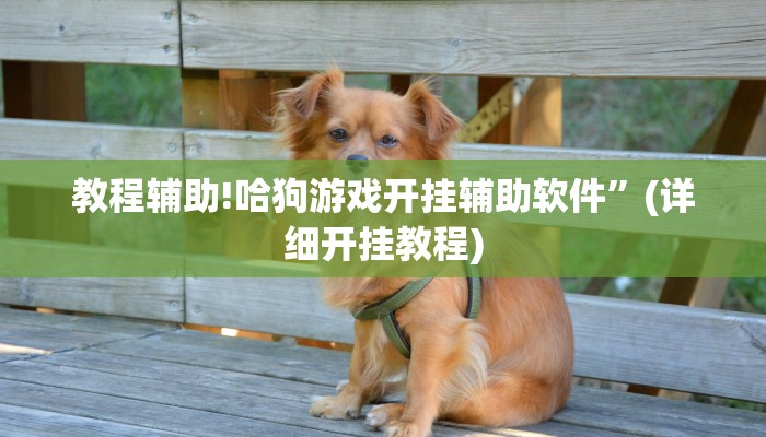 实测教程”跑得快辅助开挂”其实确实有挂