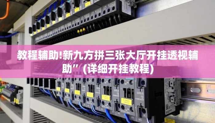 教程辅助!新九方拼三张大厅开挂透视辅助”(详细开挂教程)