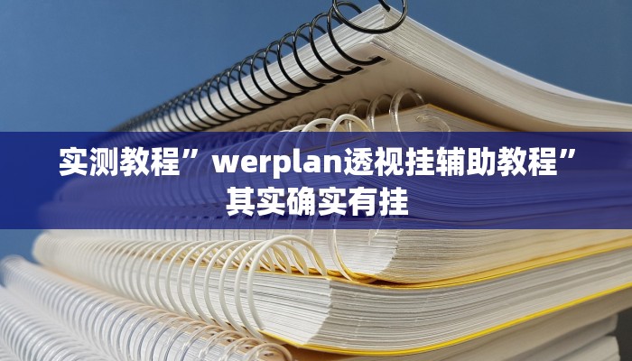 实测教程”werplan透视挂辅助教程”其实确实有挂