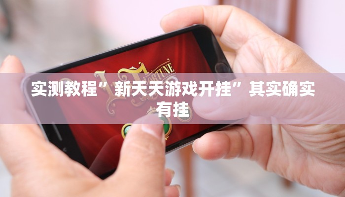 实测教程”新天天游戏开挂”其实确实有挂