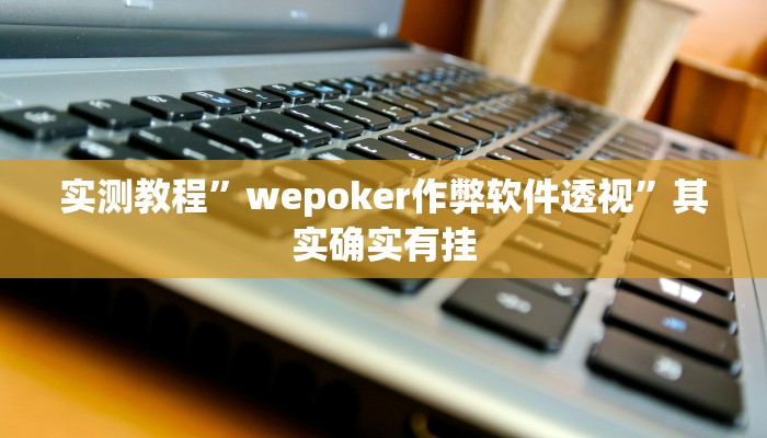 实测教程”wepoker作弊软件透视”其实确实有挂