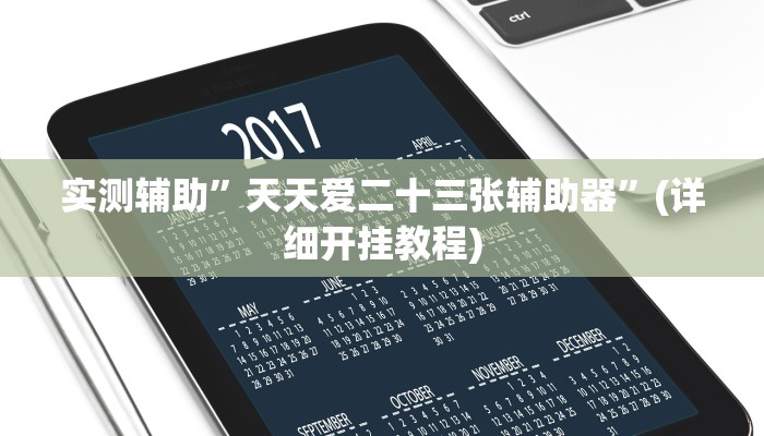 实测辅助”天天爱二十三张辅助器”(详细开挂教程)