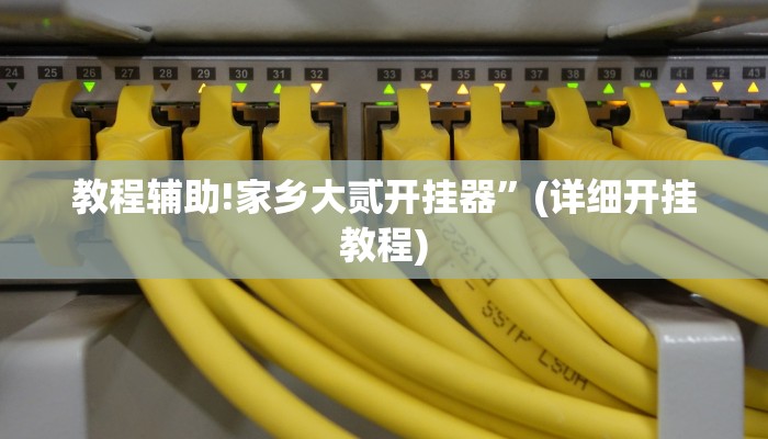 教程辅助!家乡大贰开挂器”(详细开挂教程)