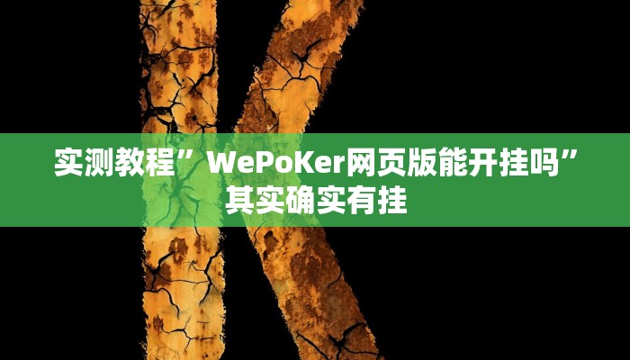 实测教程”WePoKer网页版能开挂吗”其实确实有挂