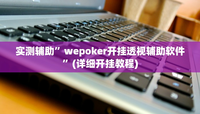 实测辅助”wepoker开挂透视辅助软件”(详细开挂教程)