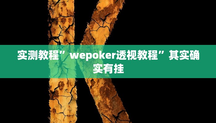 实测教程”wepoker透视教程”其实确实有挂