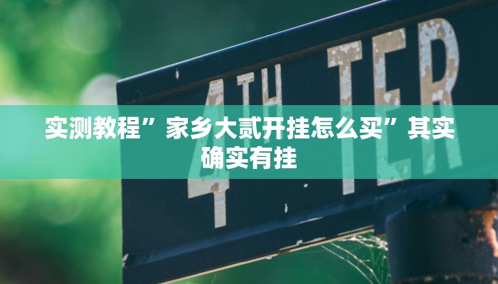 实测教程”家乡大贰开挂怎么买”其实确实有挂
