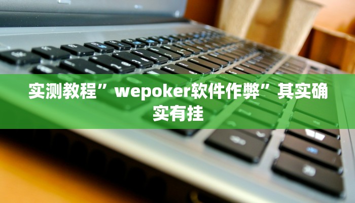 实测教程”wepoker软件作弊”其实确实有挂