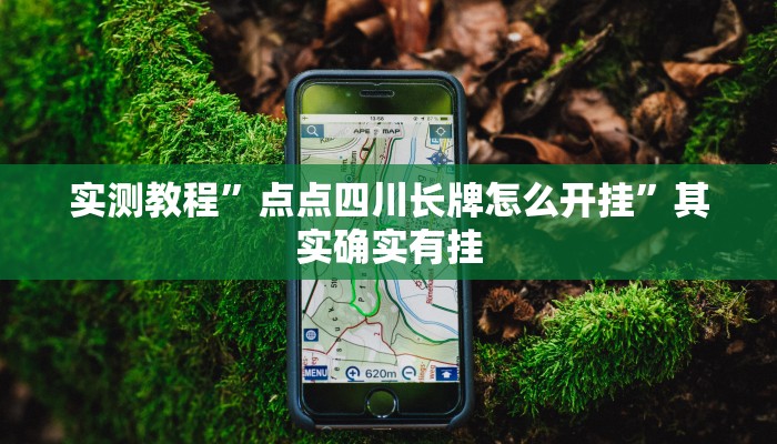 实测教程”点点四川长牌怎么开挂”其实确实有挂