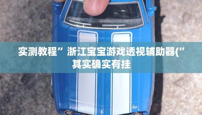 实测教程”浙江宝宝游戏透视辅助器(”其实确实有挂