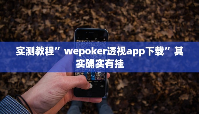 实测教程”wepoker透视app下载”其实确实有挂