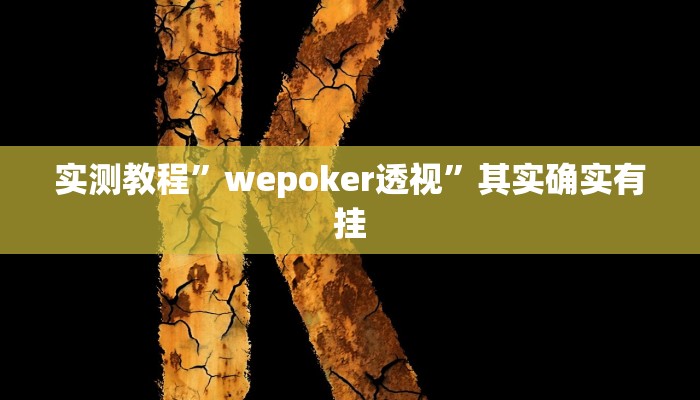 实测教程”wepoker透视”其实确实有挂