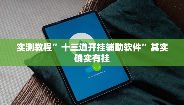 实测教程”十三道开挂辅助软件”其实确实有挂