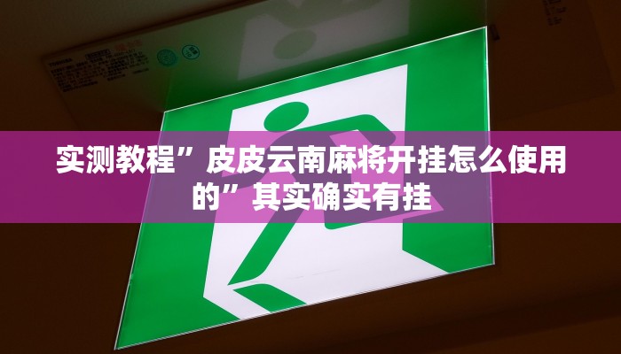 实测教程”皮皮云南麻将开挂怎么使用的”其实确实有挂