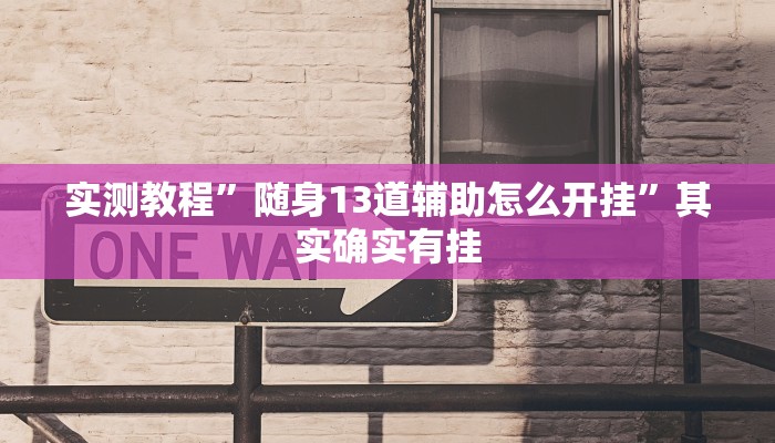 实测教程”随身13道辅助怎么开挂”其实确实有挂