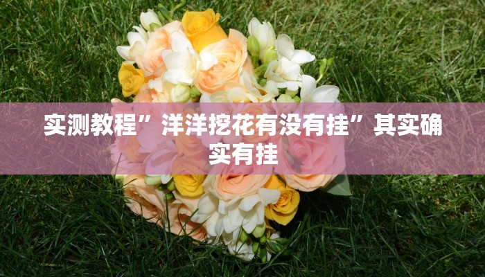 实测教程”洋洋挖花有没有挂”其实确实有挂