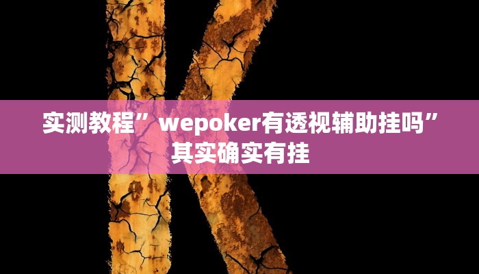 实测教程”wepoker有透视辅助挂吗”其实确实有挂