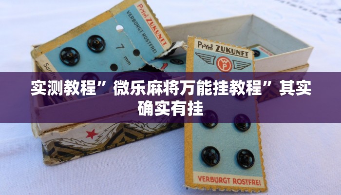 实测教程”微乐麻将万能挂教程”其实确实有挂