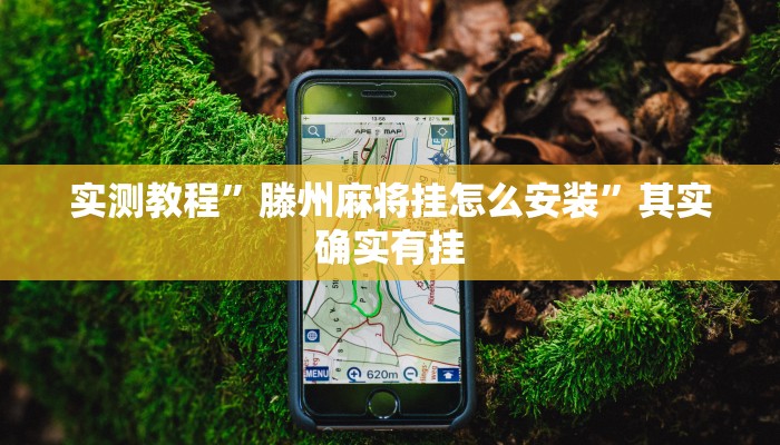 实测教程”滕州麻将挂怎么安装”其实确实有挂