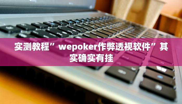 实测教程”wepoker作弊透视软件”其实确实有挂