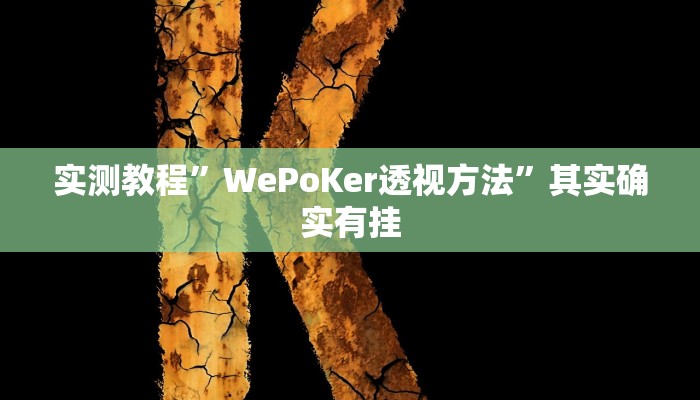 实测教程”WePoKer透视方法”其实确实有挂