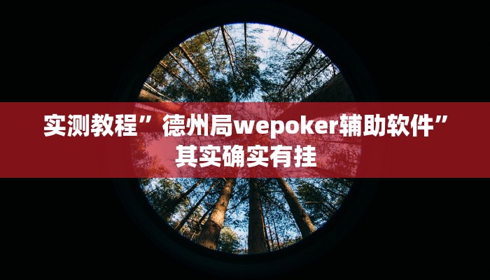 实测教程”德州局wepoker辅助软件”其实确实有挂