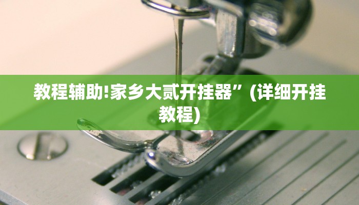 教程辅助!家乡大贰开挂器”(详细开挂教程)
