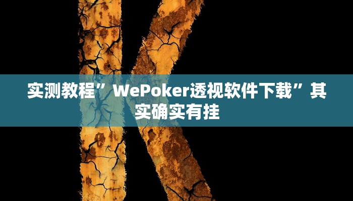 实测教程”WePoker透视软件下载”其实确实有挂