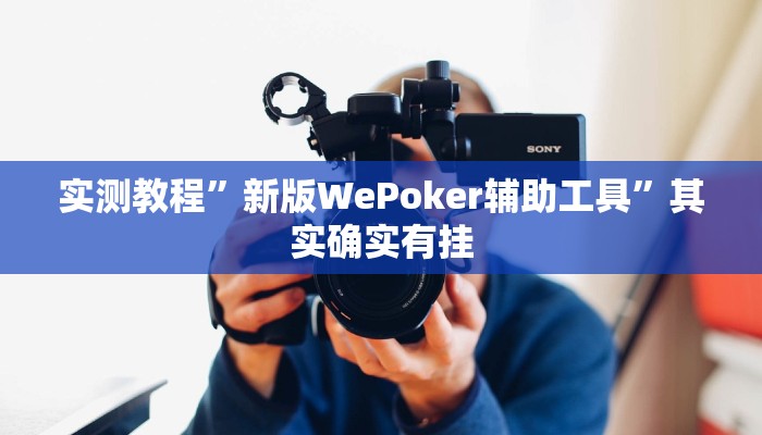 实测教程”新版WePoker辅助工具”其实确实有挂