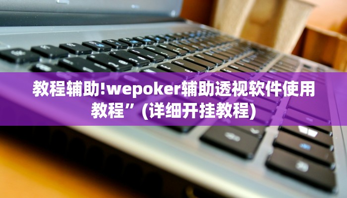 教程辅助!wepoker辅助透视软件使用教程”(详细开挂教程)