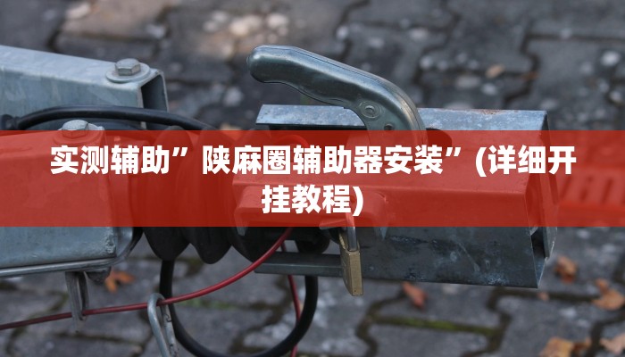 实测辅助”陕麻圈辅助器安装”(详细开挂教程)
