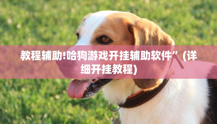 教程辅助!哈狗游戏开挂辅助软件”(详细开挂教程)