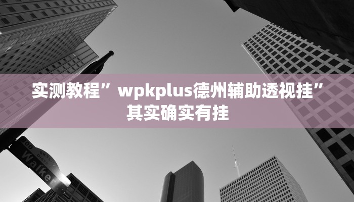 实测教程”wpkplus德州辅助透视挂”其实确实有挂