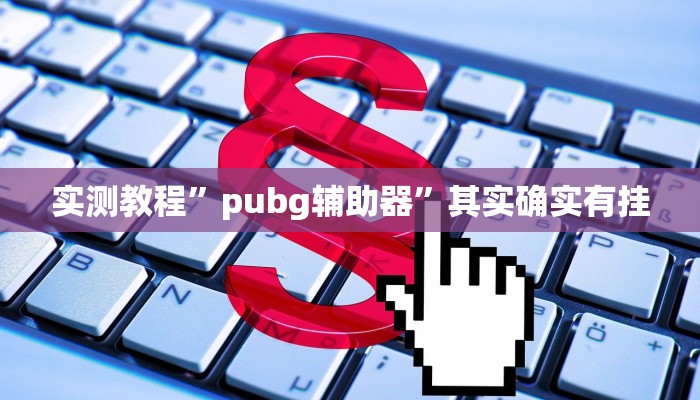 实测教程”pubg辅助器”其实确实有挂