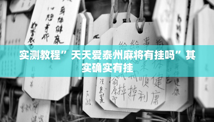 实测教程”天天爱泰州麻将有挂吗”其实确实有挂
