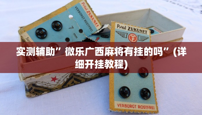 实测辅助”微乐广西麻将有挂的吗”(详细开挂教程)