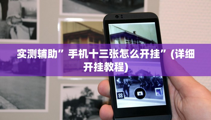 实测辅助”手机十三张怎么开挂”(详细开挂教程)
