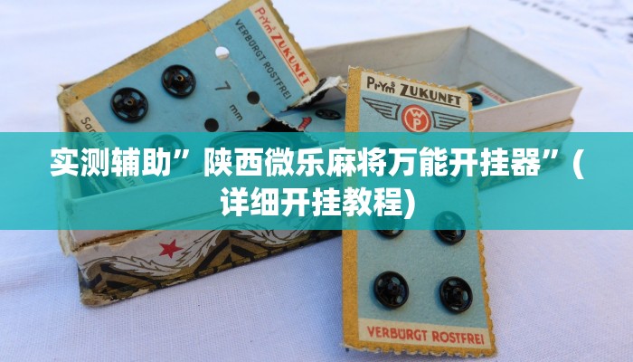 实测辅助”陕西微乐麻将万能开挂器”(详细开挂教程)