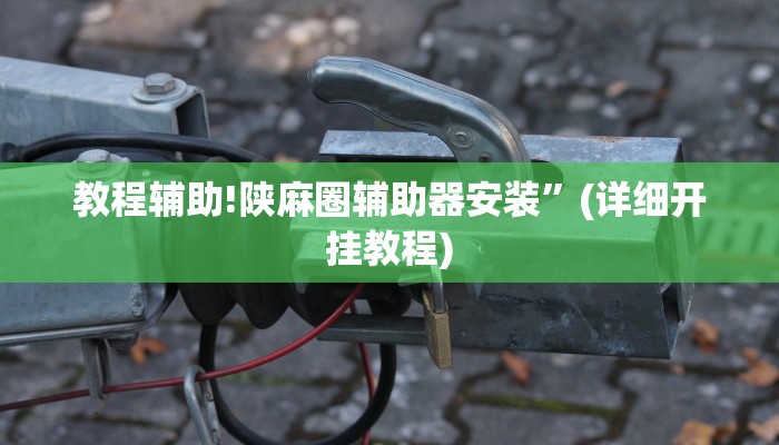教程辅助!陕麻圈辅助器安装”(详细开挂教程)