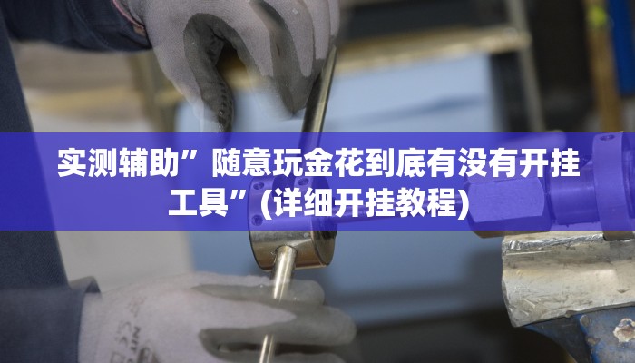实测辅助”随意玩金花到底有没有开挂工具”(详细开挂教程)