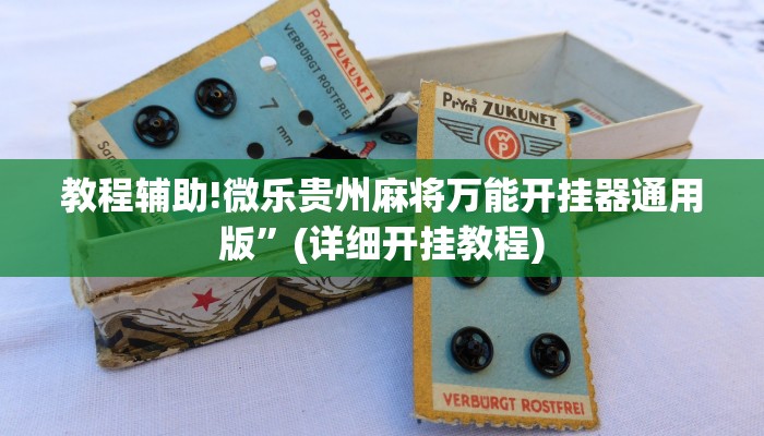 教程辅助!微乐贵州麻将万能开挂器通用版”(详细开挂教程)