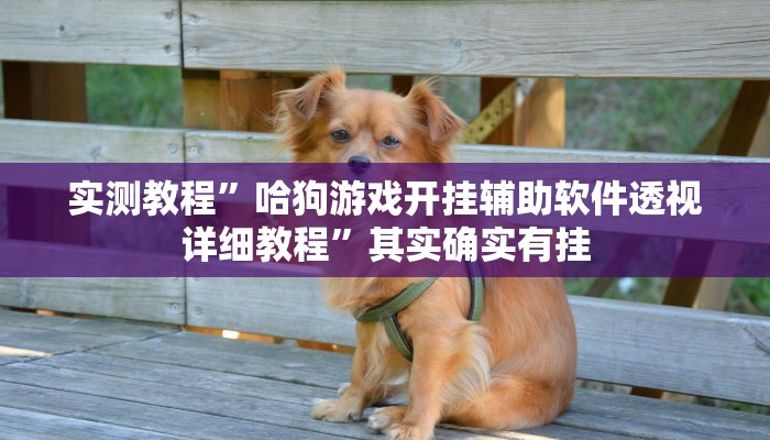 实测教程”哈狗游戏开挂辅助软件透视详细教程”其实确实有挂