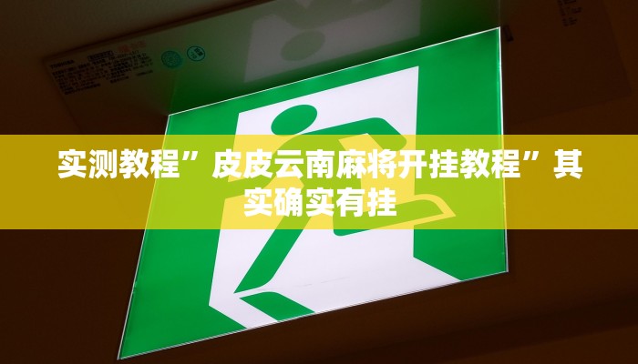 实测教程”皮皮云南麻将开挂教程”其实确实有挂
