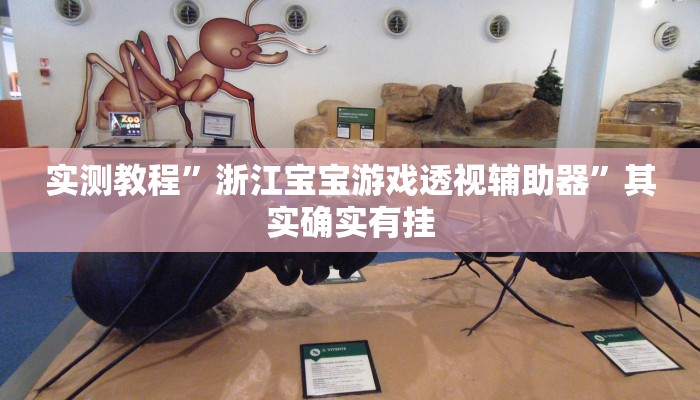 实测教程”浙江宝宝游戏透视辅助器”其实确实有挂