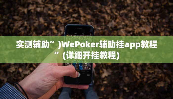 教程辅助!广西佬游玩十三张辅助器”(详细开挂教程)
